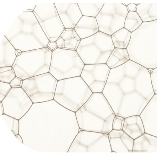 screenshot 2026 03 08 161952